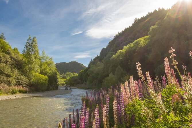 Arrowtown to Queenstown Bike Tour with Shuttle - The Real Value: What You Get for $71.37 (and Why It Can Be Worth It)