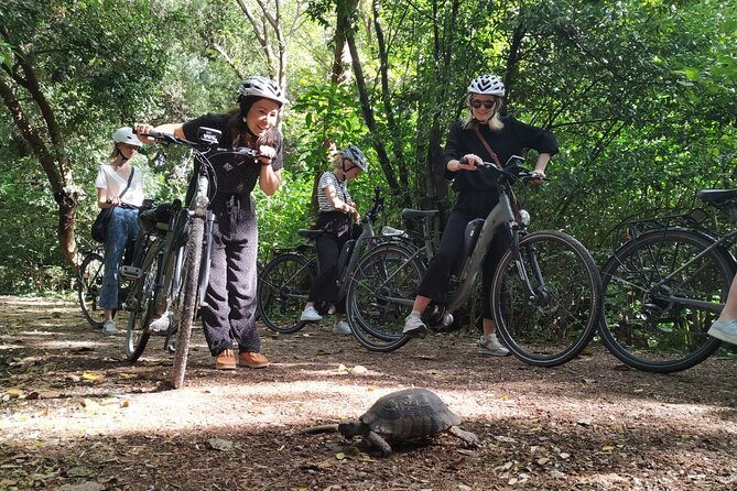 Athens Small Group Electric Bike Tour - Metropolitan Cathedral, Presidential guards, and the Zappeion moment