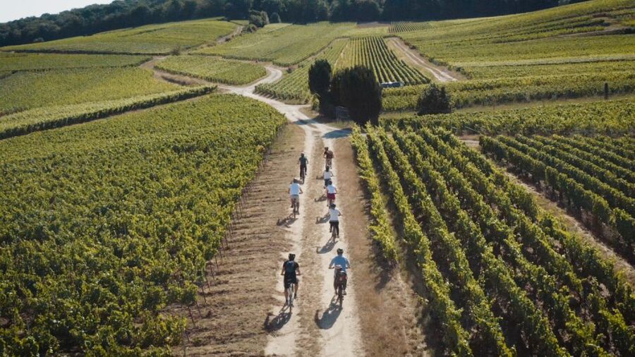 Au départ de REIMS : Ebike tour with a local guide ! - Winery time: cellar tour and the tastings that teach you something