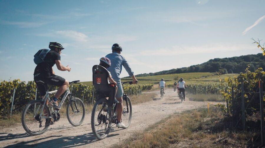Au départ de REIMS : Ebike tour with a local guide ! - What you learn about Champagne farming, not just Champagne labels