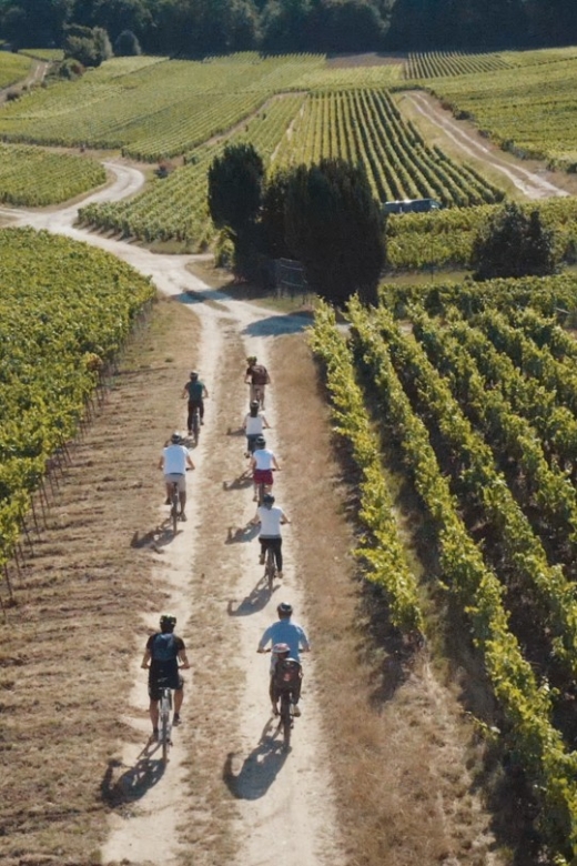 Au départ de REIMS : Ebike tour with a local guide ! - Price and value for a Champagne day with e-bikes and transport