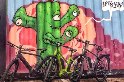 Austin Electric Bike Tour: Let it Ride - Barton Springs Pool, Zilker Park, and the Stevie Ray Vaughan stop