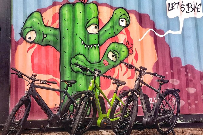Austin Electric Bike Tour: Let it Ride - Barton Springs Pool, Zilker Park, and the Stevie Ray Vaughan stop