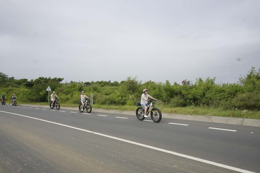 Authentic North East Coast E-bike Guided Tour - Who should book this tour (and who should skip it)