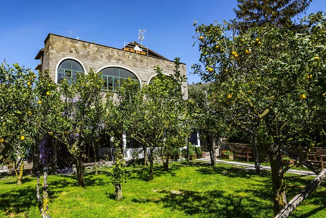 Backroads & Limoncello Experience: Sorrento E-Bike Tour - Key highlights to know before you go