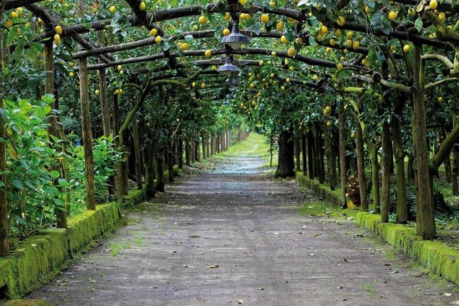 Backroads & Limoncello Experience: Sorrento E-Bike Tour - Stop 2: Agriturismo Il Convento and the lemon granita + limoncello tasting