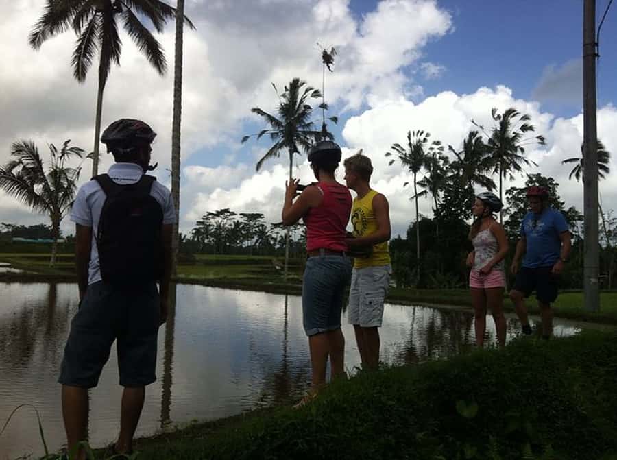 Bali Downhill Cultural Cycling Tour - The downhill cycling section: easy pedal, real roads, great guidance