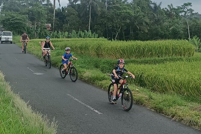 Bali Downhill Natural Cycling Tour & visit Volcano - How hard is the cycling, really? Fitness, safety, and the things to check