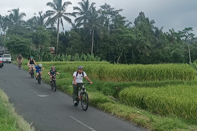 Bali Downhill Natural Cycling Tour & visit Volcano - Value for $50: what you get for a full 8-hour Bali day