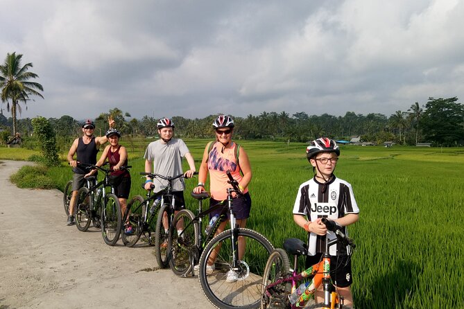 Bali Downhill Natural Cycling Tour & visit Volcano - Balai Desa Pekraman Pukuh and bike setup: comfort first, downhill second