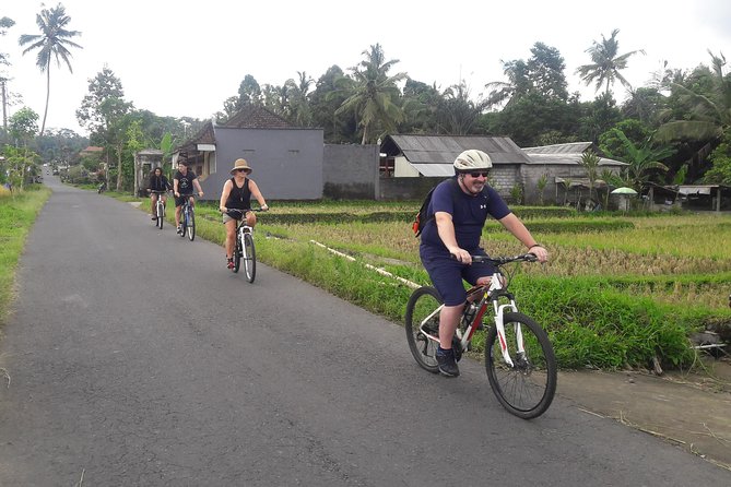 Bali Eco & Educational Cycling Tour - Family-Friendly Safety: Baby Bike Seats Are Actually Included