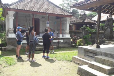 Bali Eco & Educational Cycling Tour - The Bike Part: Downhill Cycling on Secret Back Roads and Village Life