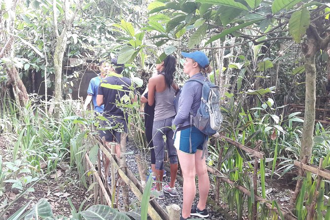 Bali Eco & Educational Cycling Tour - Price and Value: Why $48.87 Can Make Sense for an 8–10 Hour Day