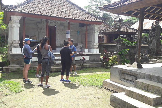Bali Eco & Educational Cycling Tour - The Bike Part: Downhill Cycling on Secret Back Roads and Village Life