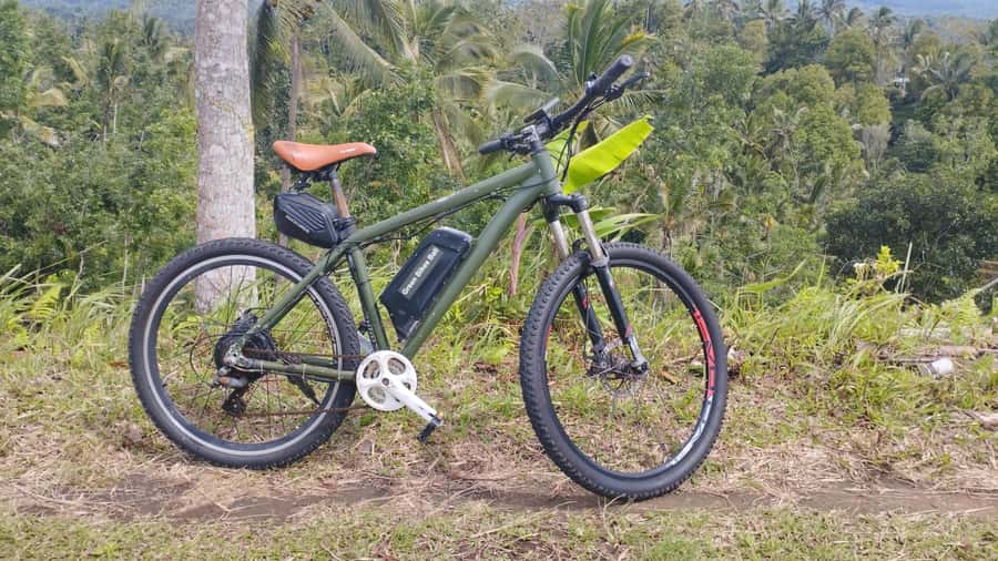 Bali: Jatiluwih Rice Terraces 1 Hour Electric Bike Tour - Key points worth knowing before you ride