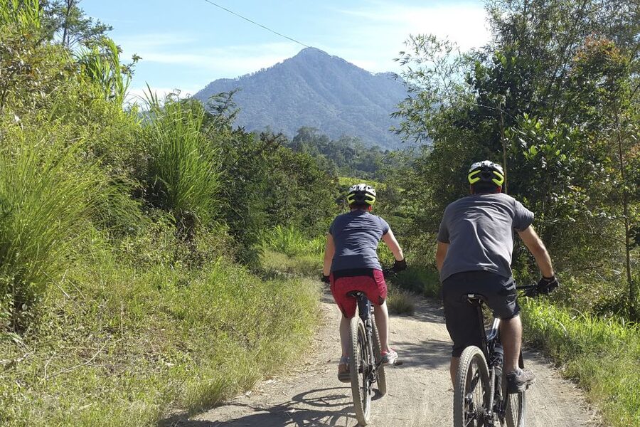 Bali: Jatiluwih Rice Terraces 1 Hour Electric Bike Tour - What’s included (and what you should plan to bring)