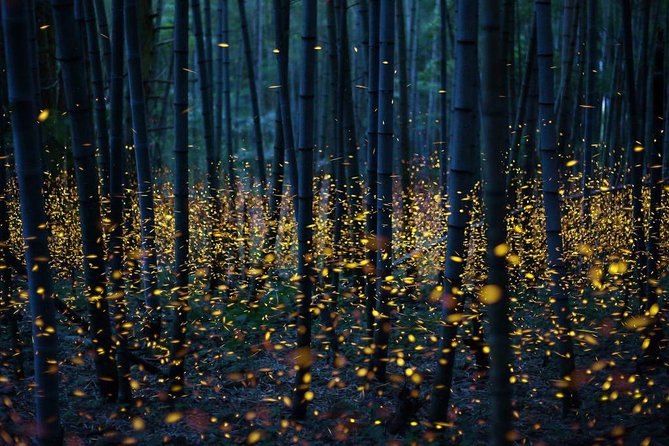 Bamboo Bicycle Tour in twilight: watch dancing Fireflies in Bangkok - Pae Jaeb bike rental and quick safety setup