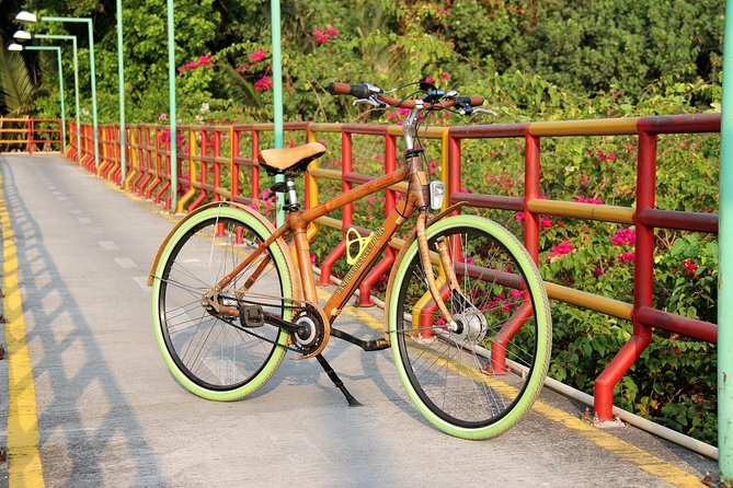 Bamboo Bicycle Tour in twilight: watch dancing Fireflies in Bangkok - The firefly cruise: what to expect from the 1-hour search