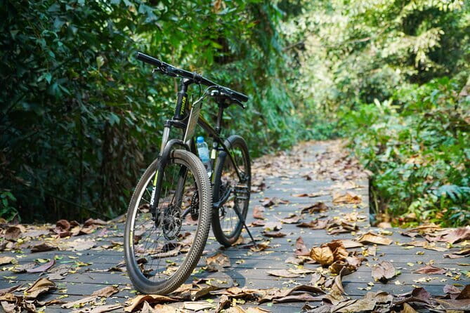Bangkok Green Oasis Nature Bike Tour - Bikes, helmets, and how hard the riding really is