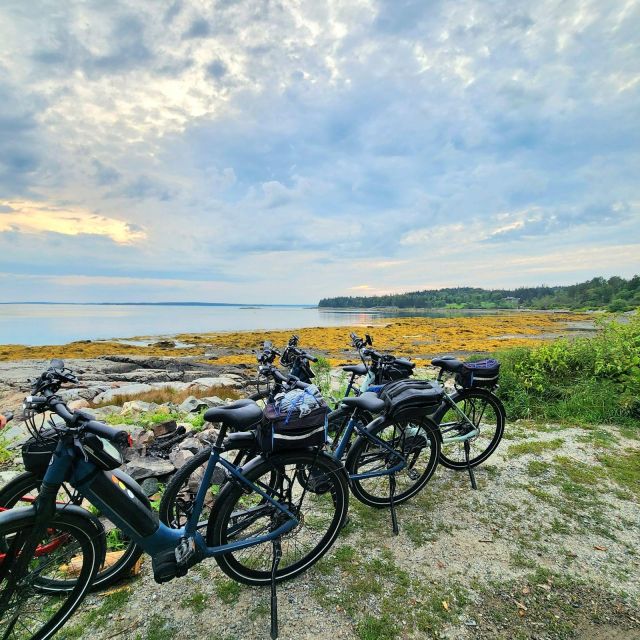 Bar Harbor: Acadia National Park Carriage Roads Ebike Tour - Starting at Hull’s Cove: how the tour sets you up