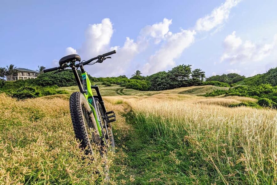 Barbados: Rural Tracks and Trails Guided E-Bike Tour - PEG Farm and Cotton Tower: culture you can taste and stories you can picture