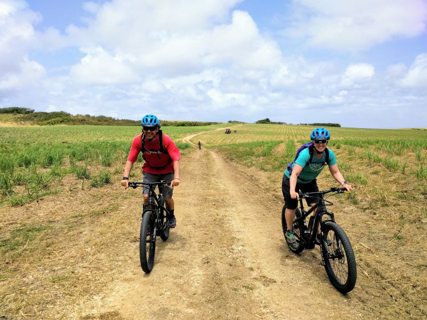 Barbados: Rural Tracks and Trails Guided E-Bike Tour - Casuarina tree trails and back roads: the part that makes it feel like a secret