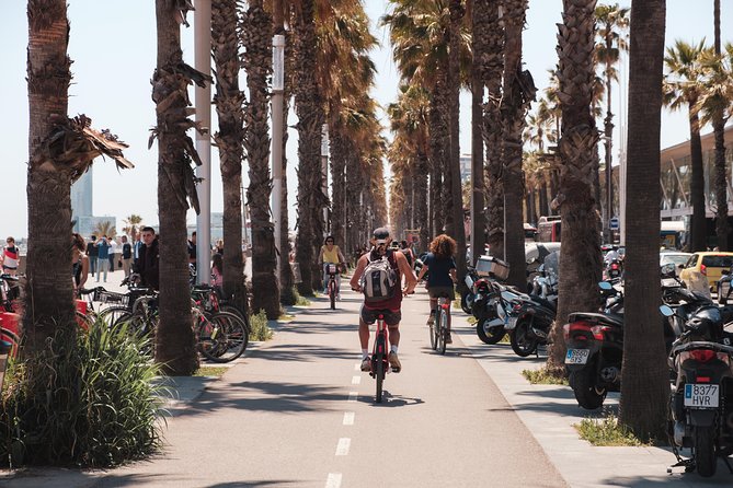 Barcelona 3-hour Bike or E-Bike Tour: Highlights and Hidden Gems - Stop-by-Stop: From Gothic Squares to Modernisme Landmarks