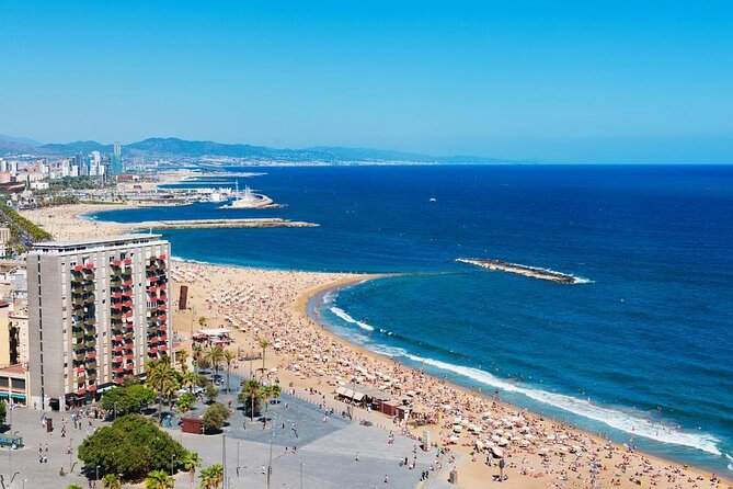 Barcelona eBike Beach Private Tour to Vineyards & Picnic - Key highlights worth centering in your plan