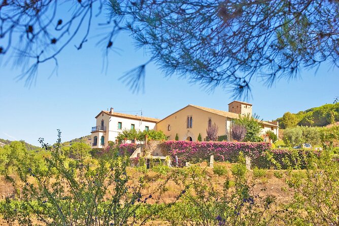 Barcelona eBike Beach Private Tour to Vineyards & Picnic - Alella vineyards and the cellar: what you’re really paying for