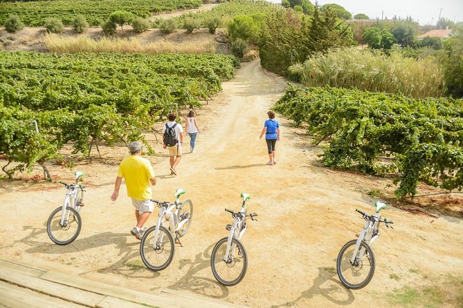 Barcelona eBike Beach Private Tour to Vineyards & Picnic - Picnic lunch: enjoy it, but don’t count it as a full meal