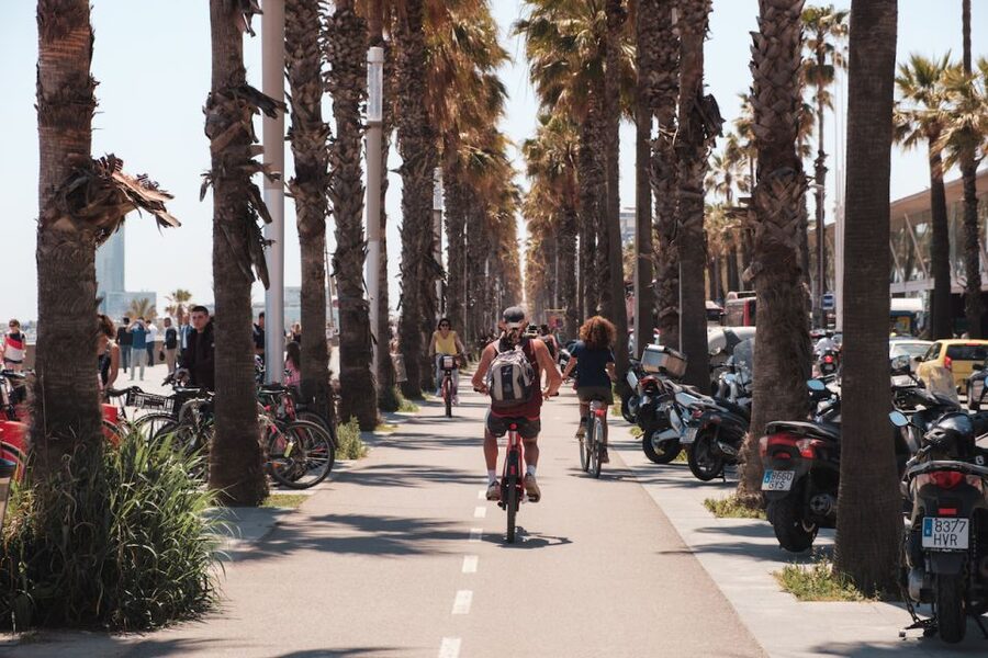 Barcelona: Guided Bike or E-Bike City Tour - Bike Comfort, Group Size, and Safety on Busy Streets