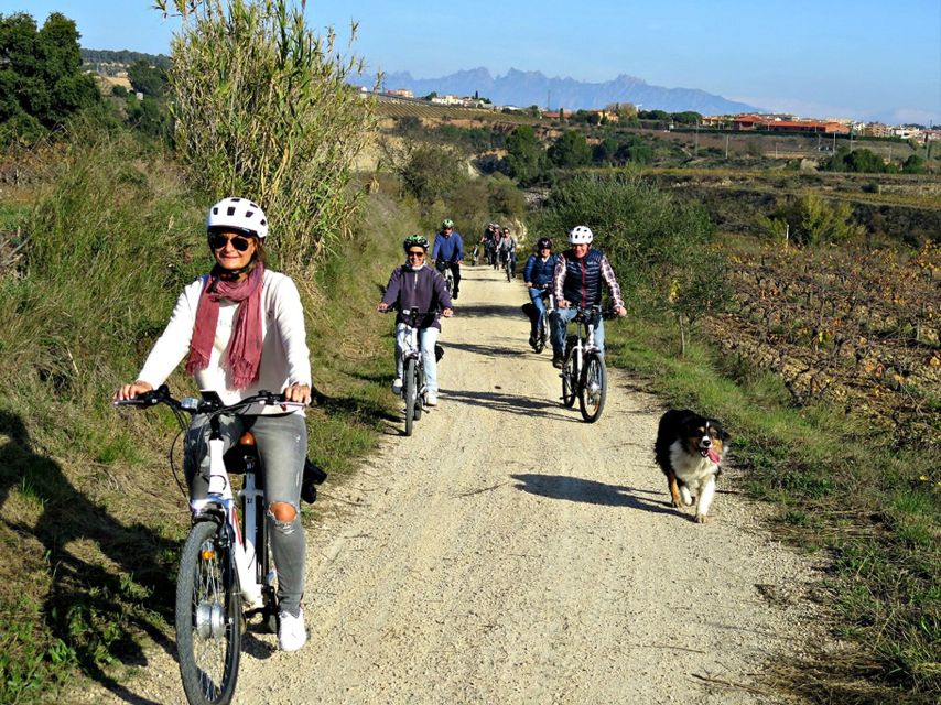 Barcelona: Guided Half-Day Wine and Electric Bike Tour - Key Things That Make This Tour Worth Your Time