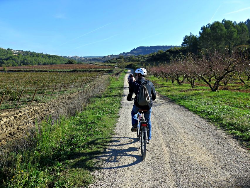 Barcelona: Guided Half-Day Wine and Electric Bike Tour - Who This Tour Is Best For (and Who Should Skip It)