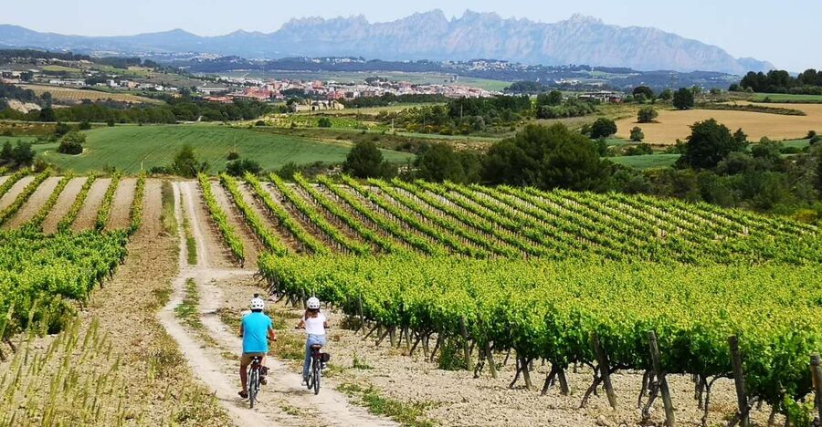 Barcelona: Guided Half-Day Wine and Electric Bike Tour - Why Cycling the Penedès Region Beats a Typical Wine Trip