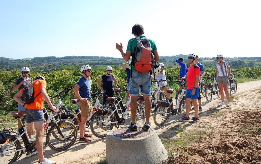 Barcelona: Guided Half-Day Wine and Electric Bike Tour - Tasting Wine and Cava: 3 Glasses, Proper Context