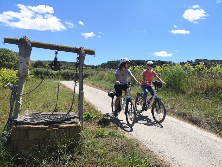 Barcelona: Guided Half-Day Wine and Electric Bike Tour - Guide Energy and the Small-Group Advantage
