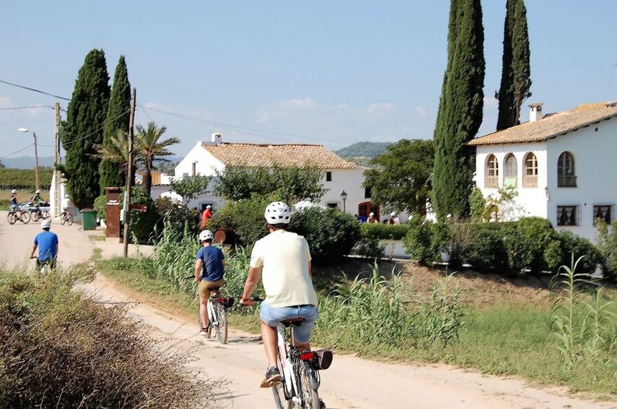 Barcelona: Guided Half-Day Wine and Electric Bike Tour - Price and Value: Is $101 Fair for This Half-Day?