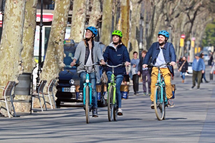 Barcelona: Montjuic Hill E-Bike Tour - National Palace terraces: a 360-degree view that changes how you read the city