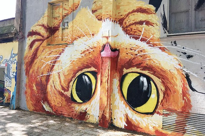 Barcelona Street Art and Graffitti Bicycle Tour - Best For Who: Choose This If You Want Art With Context