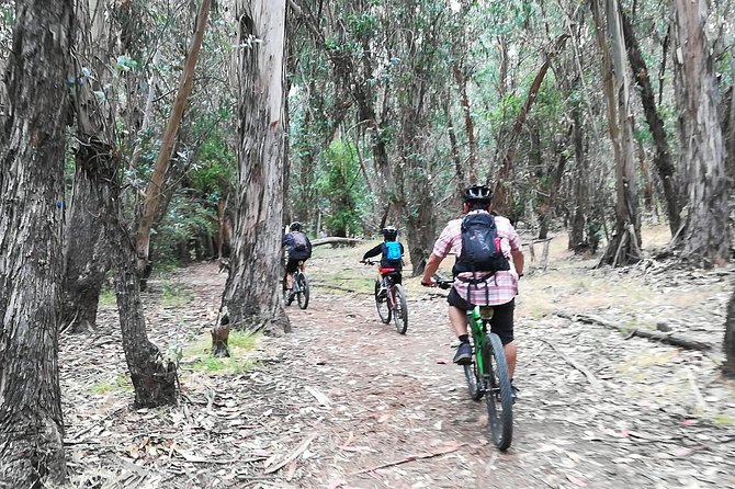 Beginner or Intermediate Mountain Bike Tour of Santa Barbara - Price and Value: Is $125 Worth It?