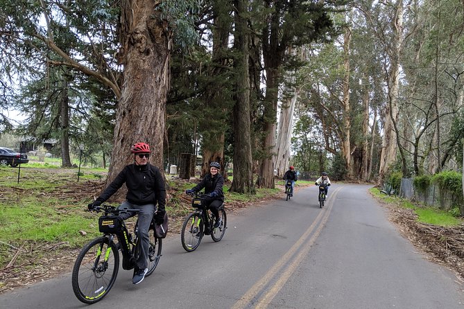 Behind-the-Scenes Food and Wine E-Bike Tour - E-bike Wine Day in Sonoma: What $159 Really Buys You