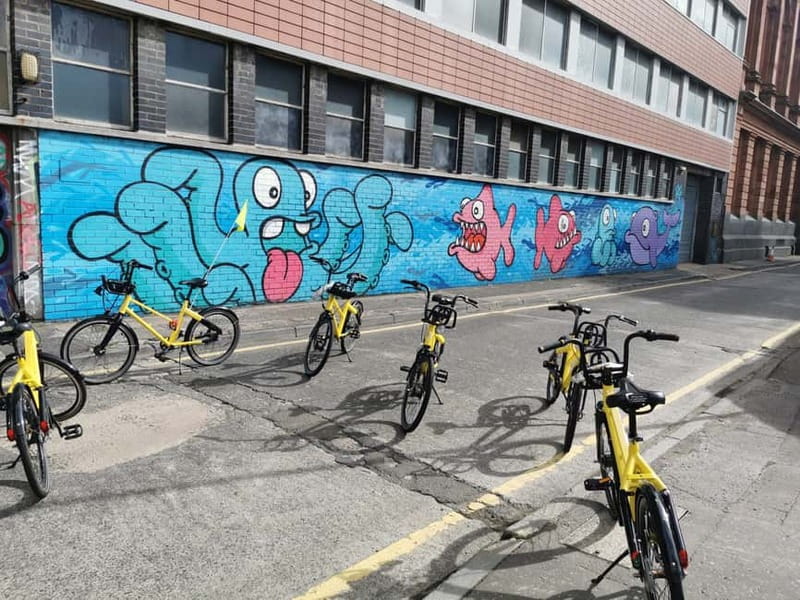Belfast: City Highlights Bike Tour - The Peace Wall: the Troubles, explained with care