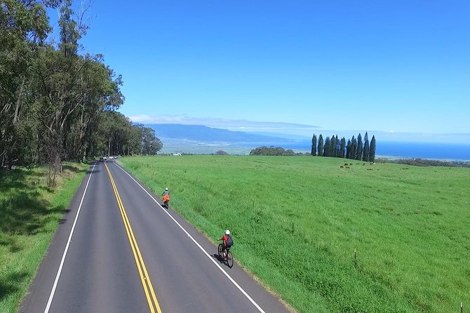 Best Haleakala Downhill Self-Guided Bike Tour with Maui Sunriders - Price and What You’re Really Paying For at $139