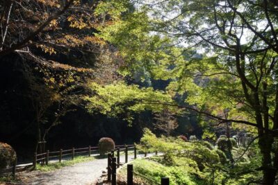 Best of Kyoto: Ginkakuji & Path of Philosophy E-Bike Tour - East Side vs Wild West: choose your Kyoto flavor