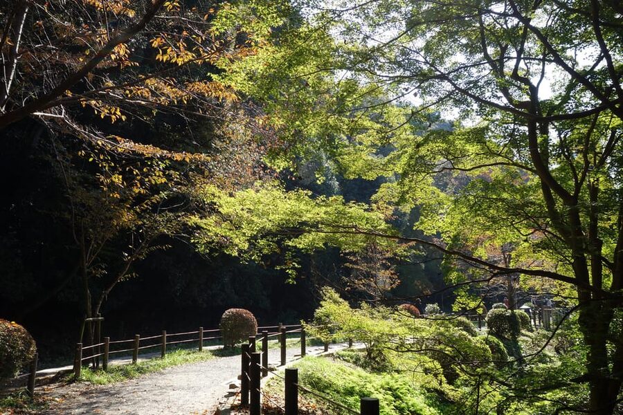 Best of Kyoto: Ginkakuji & Path of Philosophy E-Bike Tour - East Side vs Wild West: choose your Kyoto flavor