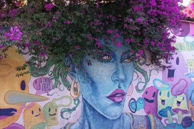 Bicycle Tour through Oaxaca learning about its Urban Art and History - Jalatlaco: Murals, Old Streets, and Day of the Dead Energy