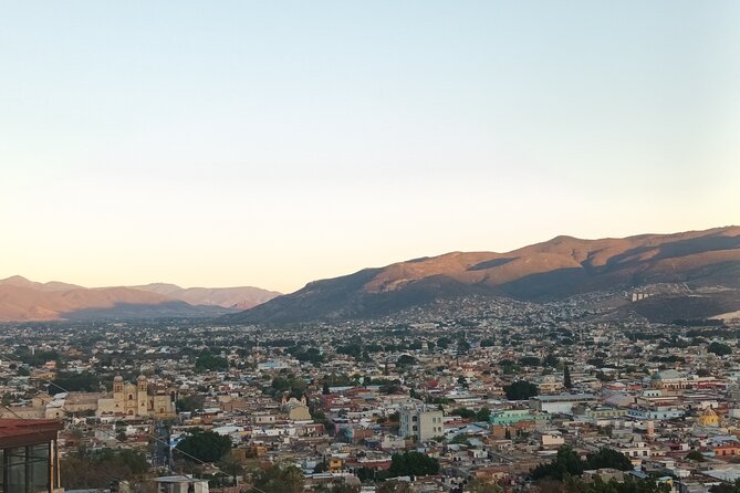 Bicycle Tour through Oaxaca learning about its Urban Art and History - Santo Domingo de Guzmán: Baroque Beauty Turned Into Living Culture