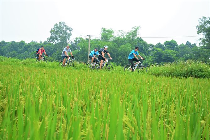 Bicycle Tours Hanoi: Full Day Bicycle Tour Hanoi Countryside - Pace and what to pack for a full 8 hours