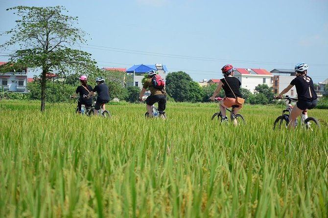 Bicycle Tours Hanoi: Full Day Bicycle Tours City & Countryside - Why this Hanoi bicycle day feels both local and well-paced