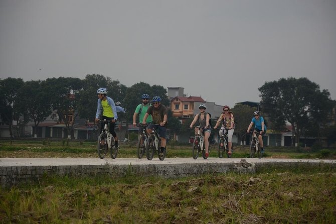Bicycle Tours Hanoi: Full Day Bicycle Tours City & Countryside - Lai Da bonsai visit: meeting local craft life up close